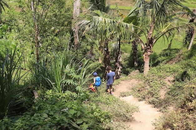 Una hermosa vista de Tegalalang ubicada en Ubud Bali Indonesia