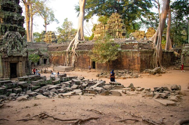 Una hermosa vista del templo de Angkor Wat ubicado en Siem Reap Camboya