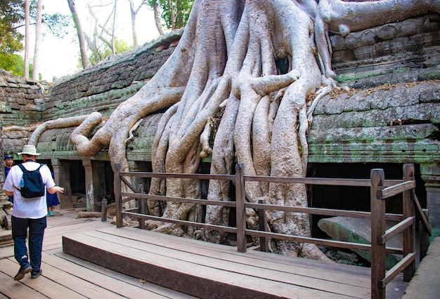 Una hermosa vista del templo de Angkor Wat ubicado en Siem Reap Camboya