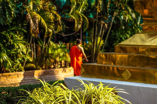 Una hermosa vista del templo budista ubicado en Chiang Mai Tailandia