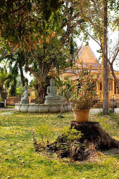 Una hermosa vista del templo budista ubicado en Siem Reap en Camboya