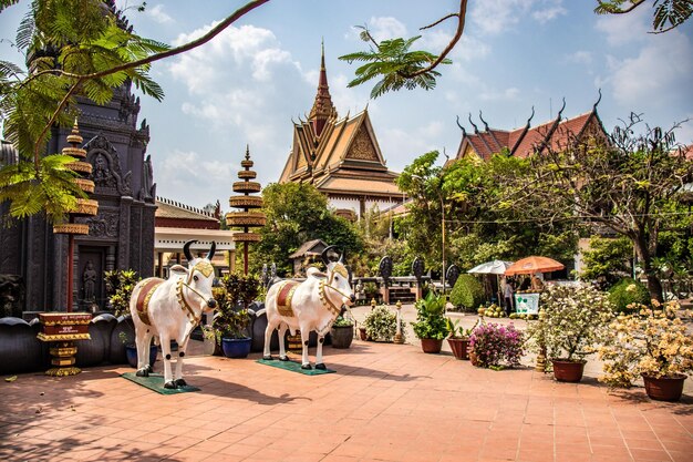 Una hermosa vista del templo budista ubicado en Siem Reap Camboya