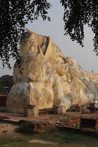 Una hermosa vista del templo budista Wat Lokaya Sutharam ubicado en Ayutthaya Tailandia