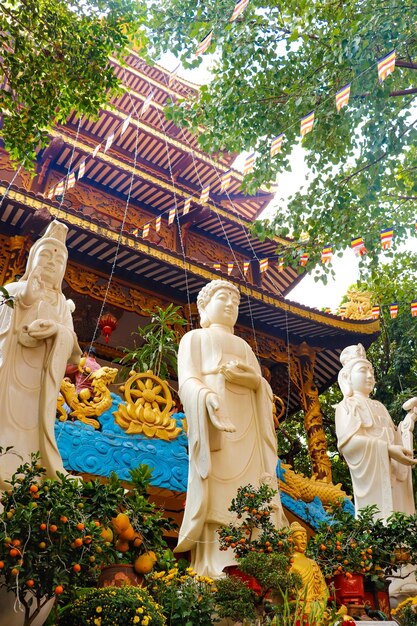 Foto una hermosa vista del templo chino ubicado en vientiane laos