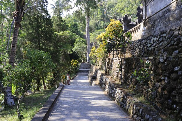 Una hermosa vista del templo Gunung Kawi ubicado en Bali Indonesia