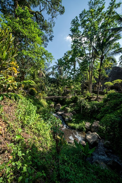 Una hermosa vista del templo Gunung Kawi ubicado en Bali Indonesia