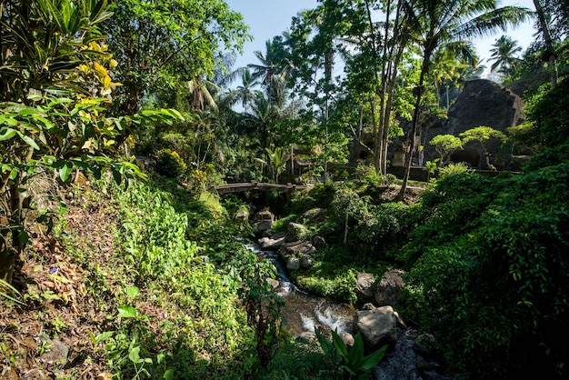 Una hermosa vista del templo Gunung Kawi ubicado en Bali Indonesia