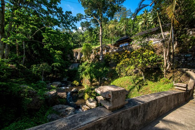 Una hermosa vista del templo Gunung Kawi ubicado en Bali Indonesia