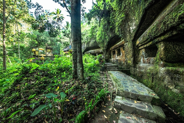 Una hermosa vista del templo Gunung Kawi ubicado en Bali Indonesia