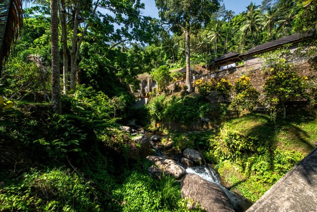 Una hermosa vista del templo Gunung Kawi ubicado en Bali Indonesia