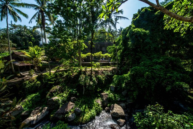 Una hermosa vista del templo Gunung Kawi ubicado en Bali Indonesia