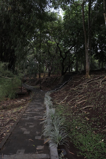 Una hermosa vista del templo Taman Ayun ubicado en Bali Indonesia