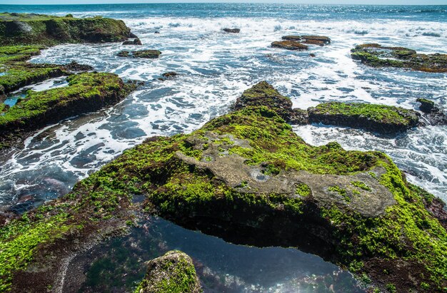 Una hermosa vista del templo Tanah Lot ubicado en Bali Indonesia