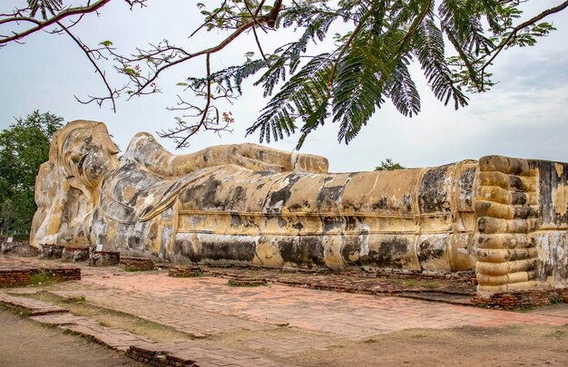 Una hermosa vista del templo Wat Lokaya Sutharam ubicado en Ayutthaya Tailandia