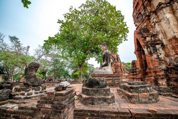 Una hermosa vista del templo Wat Mahathat ubicado en Ayutthaya Tailandia