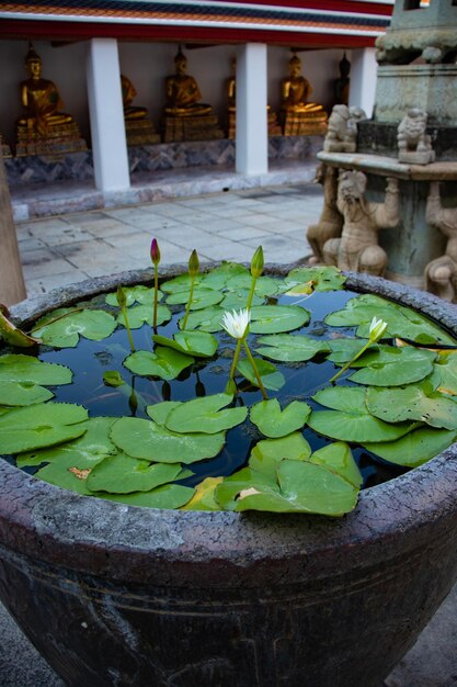 Una hermosa vista del templo Wat Pho ubicado en Bangkok Tailandia