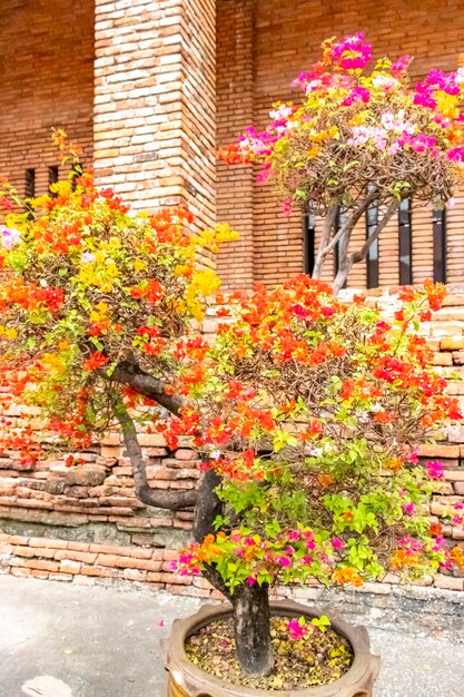 Una hermosa vista del templo Wat Yai Chai Mongkhon ubicado en Ayutthaya Tailandia