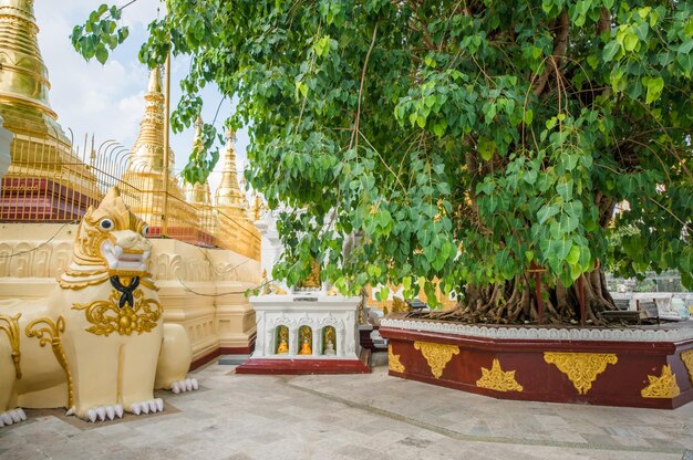 Una hermosa vista de los templos de Shwedagon Padoga ubicados en Yangon Myanmar