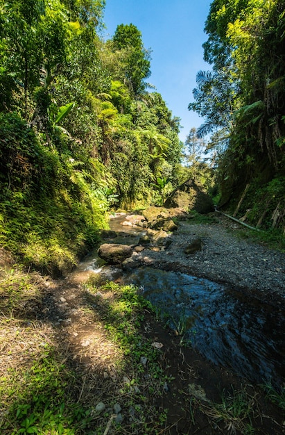 Una hermosa vista de la ubicación del sendero en Bali Indonesia