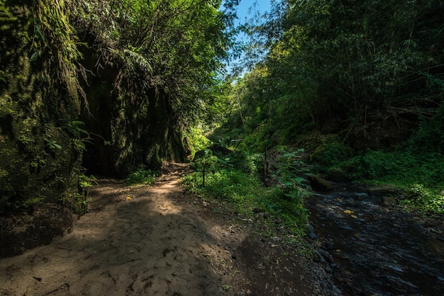 Una hermosa vista de la ubicación del sendero en Bali Indonesia