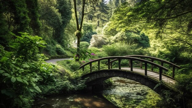 hermosa vista de la vegetación y un bosque puente