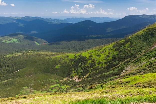 Hermosa vista de verano contrastante atmosférica de las montañas de los Cárpatos ucranianos de Chornohora