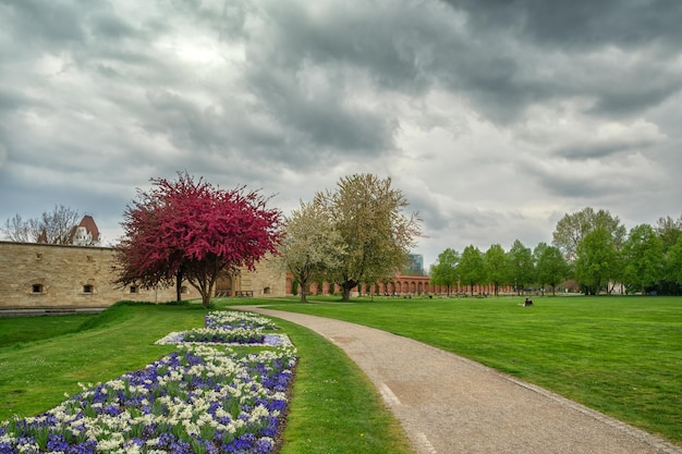 Una hermosa vista de verano en un parque en alemania ingolstadt