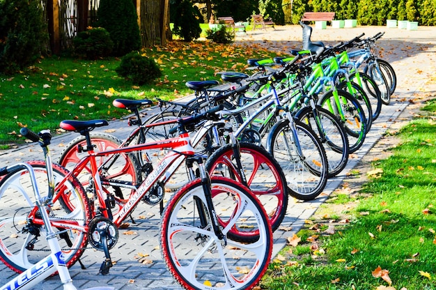 Hermosas bicicletas multicolores deportivas de montaña para recreación y deporte están estacionadas en una fila