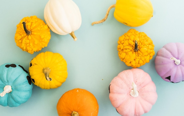 Foto hermosas calabazas de colores en un fondo azul calabaza pintada de color pastel