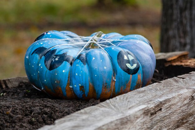 Foto hermosas calabazas para halloween