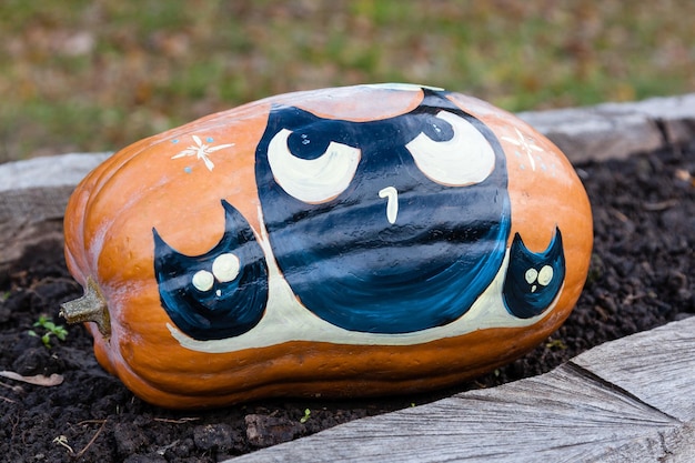 Hermosas calabazas para halloween