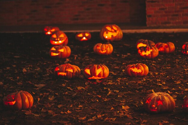 Hermosas calabazas talladas con cara graciosa naranja brillante y sonriente para las vacaciones de Halloween en la noche al aire libre