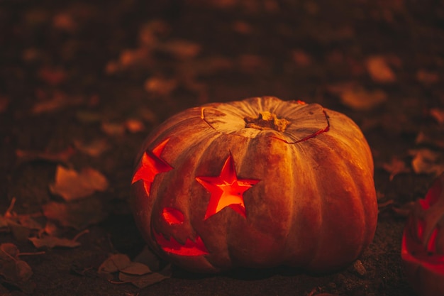 Hermosas calabazas talladas con cara graciosa naranja brillante y sonriente para las vacaciones de Halloween en la noche al aire libre