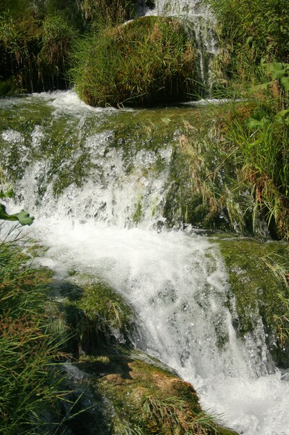 hermosas cascadas en el bosque