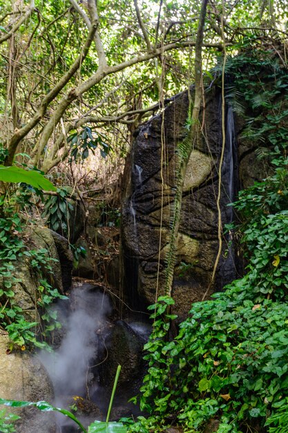 Las hermosas cascadas, rápidos y arroyos de montaña en el bosque tropical en el Parque Yanoda, ciudad de Sanya. Isla de Hainan, China.