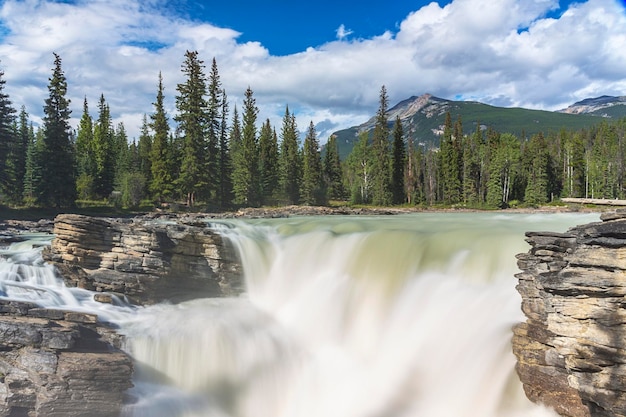 Hermosas cataratas Athabaska en las montañas rocosas en jasper canada