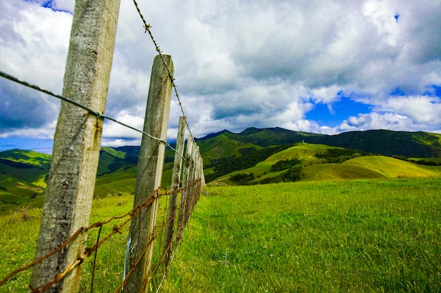 Hermosas colinas con cerca de alambre de púas en Nueva Zelanda