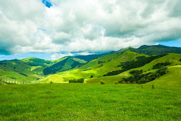 Hermosas colinas en Nueva Zelanda