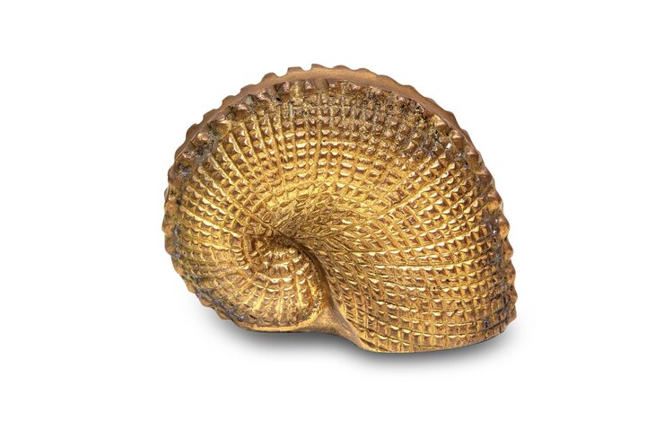 Foto hermosas conchas marinas de metal aisladas en blanco con camino de recorte