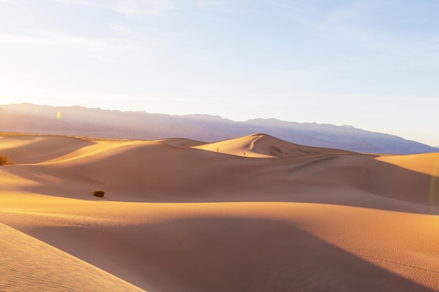 Hermosas dunas de arena en el desierto al amanecer. Death Valley, Nevada, Estados Unidos.