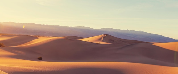 Hermosas dunas de arena en el desierto al amanecer. Death Valley, Nevada, Estados Unidos.