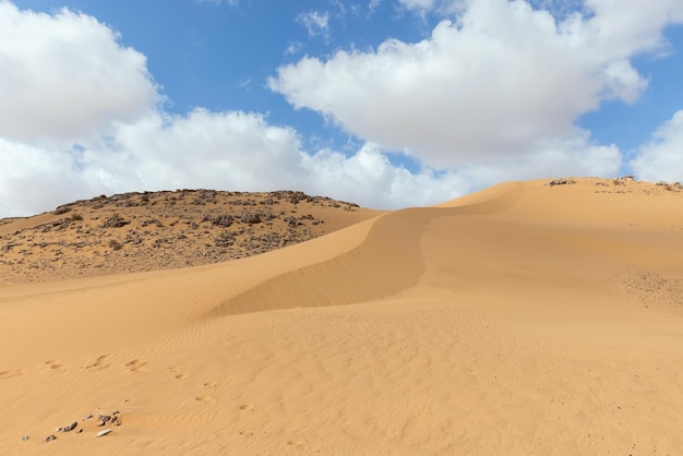 Hermosas dunas de arena en el desierto de Arava Israel