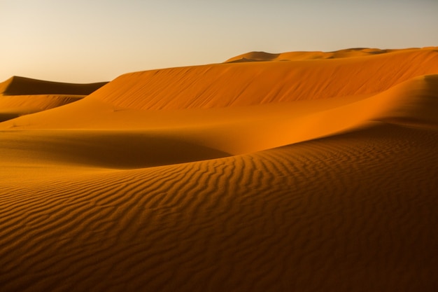 Hermosas dunas de arena en el desierto del Sahara en Marruecos