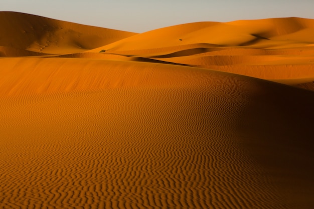 Hermosas dunas de arena en el desierto del Sahara en Marruecos