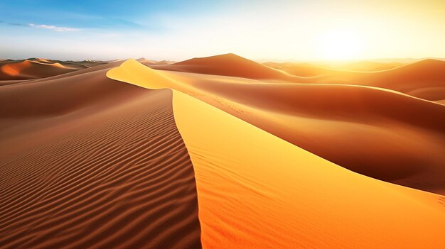 Hermosas dunas de arena en el desierto