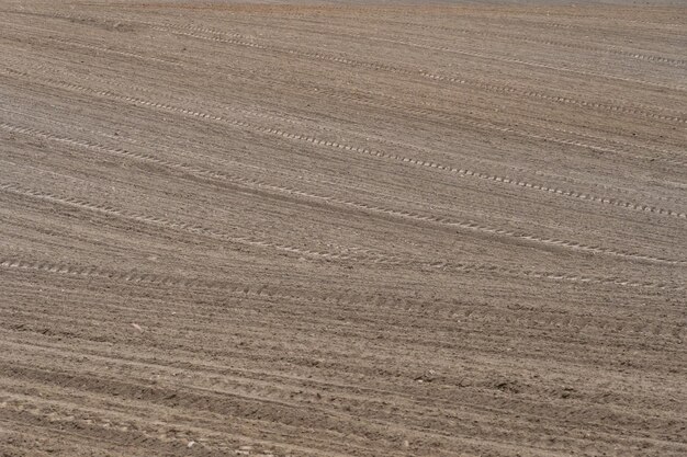 Hermosas filas suaves de campo agrícola arado campo arado antes de sembrar cultivos cebada centeno trigo