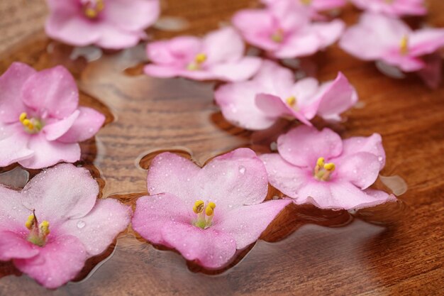 Hermosas flores en el agua