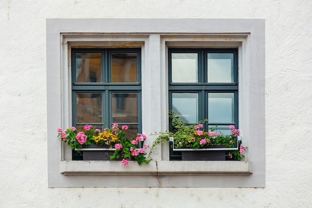 Hermosas flores en el alféizar de la ventana en la ciudad de Meissen, Alemania