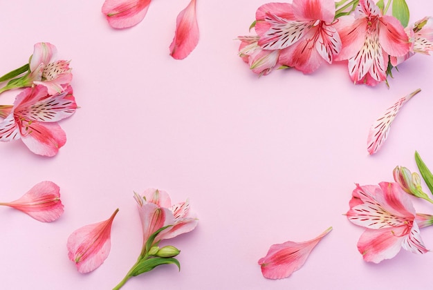 Hermosas flores de Alstroemeria sobre un fondo rosado