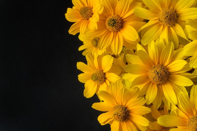 Hermosas flores amarillas sobre fondo negro